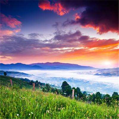 荒野围杀手游下载