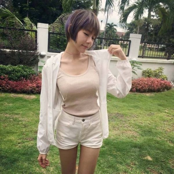 火鸟传奇游戏破解版下载